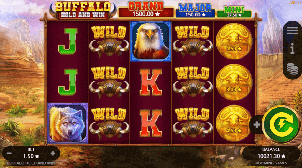 เกมสล็อตโฮลด์แอนด์วิน Buffalo Hold and Win ค่าย Booming Games